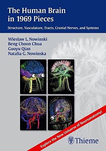 【中古】【未使用・未開封品】Human Brain in 1969 Pieces: Structure, Vasculature, Tracts, Cranial Nerves and Systems