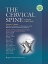 cervical spineの画像