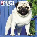 【中古】【未使用・未開封品】Just Pugs 2018 Calendar