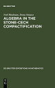 Algebra in the Stone-Cech Compactification: Theory and Applications (Degruyter Expositions in Mathematics)