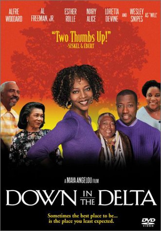 【中古】【未使用・未開封品】Down in the Delta