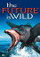 š̤ۡѡ̤ʡFuture Is Wild [DVD]