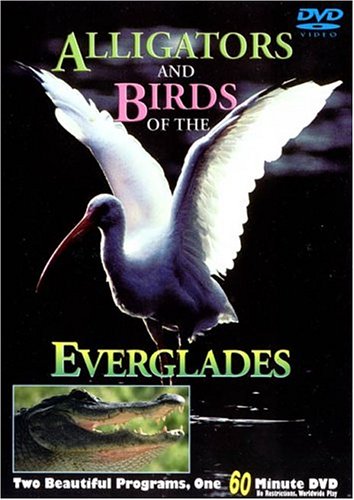 【中古】【未使用・未開封品】Alligators & Birds of the Everglades