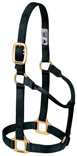 【中古】【未使用・未開封品】Weaver Leather ホルター 調節不可 Yearling Horse