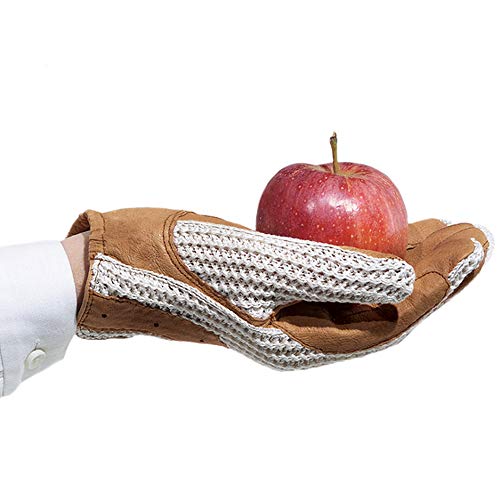 (20cm , Tan) - Ovation Ladies Crochet Back Glove