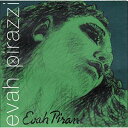 【中古】【未使用・未開封品】Pirastro Evah Pirazzi 4/4 Violin String Set - Medium Gauge - Steel Ball-End E(3)