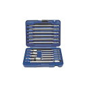 【中古】【未使用 未開封品】Irwin Industrial Tools 3057016 Fastener Drive Screwdriver Bit Set, 16-Piece by Hanson