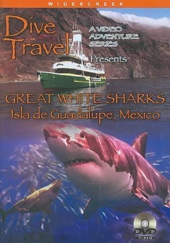 Great White Sharks-Isla De Guadalupe-Mexico 
