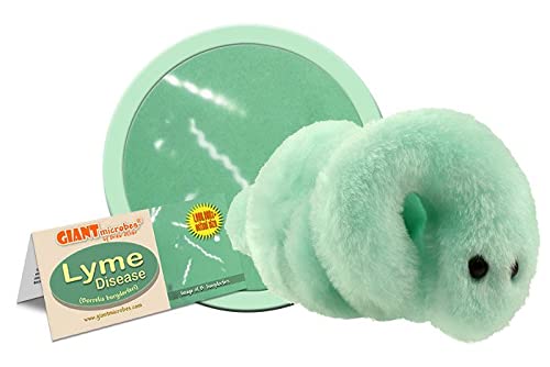 Giant Microbes Lyme Disease