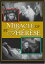 【中古】【未使用・未開封品】Miracle of St. Therese [DVD] [Import] (2007)