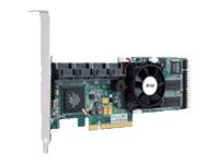 š̤ۡѡ̤ʡۥȥ졼ȥ顼 Areca ARC-1220 PCI-E RAID SAS/SATA 300Mbps ư (G124)