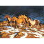 š̤ۡѡ̤ʡChris Cummings Horses - Approaching Storm Jigsaw Puzzle 1500pc