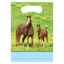 【中古】【未使用・未開封品】Wild Horses Treat Bags 野生の馬は、バッグを扱う♪ハロウィン♪クリスマス♪