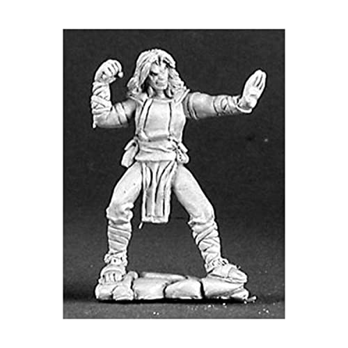 【中古】【未使用・未開封品】Dark Heaven Crimson Fist Male Monk RPR 03134