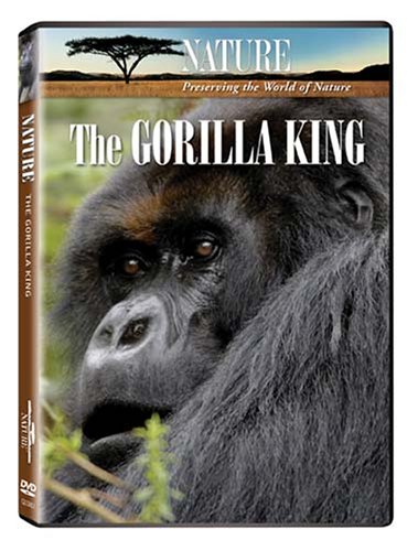 ����šۡ�̤���ѡ�̤�����ʡ�Nature: The Gorilla King [DVD]