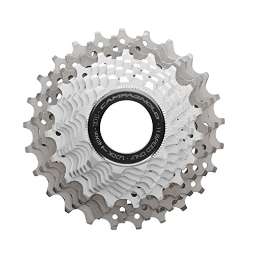 š̤ۡѡ̤ʡcampagnolo(եꥬ: ѥ˥硼) RECORD 11-25T 11S ץå CS9-RE115