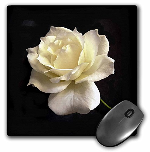【中古】【未使用・未開封品】3drose LLC 8?x 8?x 0.25インチマウスパッド、ホワイトローズ(MP 4203?_ ..