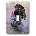 【中古】【未使用・未開封品】3drose LLC lsp _ 4042?_ 1?Wild Turkey Single切り替えスイッチ