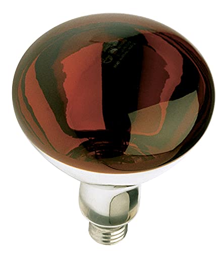 【中古】【未使用・未開封品】Satco S4884 120V 250 Watt R40 Medium Base Shatterproof Heat Lamp, Re..