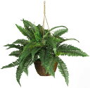 【中古】【未使用・未開封品】Nearly Natural 6599 45.72cmボストンシダシルクハンギングバスケット、グリーン、26.09cm x 26.00cm x 44.50cm