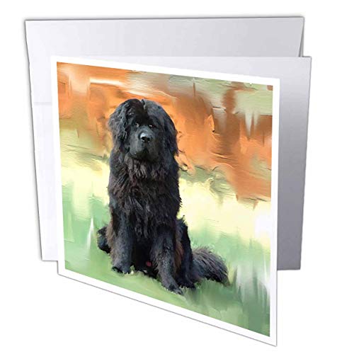 【中古】【未使用・未開封品】ニューファンドランド犬ニューファンドランド??????グリーティングカード Set of 6 Greeting Cards