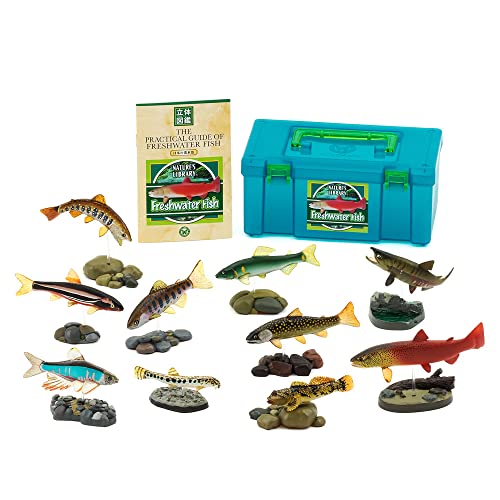 【中古】【未使用 未開封品】カロラータ 日本の淡水魚 フィギュア (立体図鑑) 魚 リアル フィギュアボックス 解説書/スタンド付き 食品衛生法クリア 10種