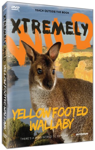 【中古】【未使用・未開封品】Yellow Footed Wallaby [DVD]