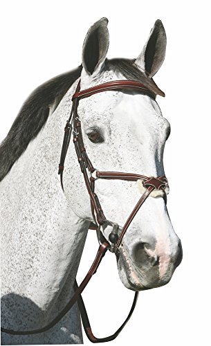 (Horse, Australian Nut) - Henri De Rivel Pro Mono Crown Raised Figure 8 Bridle with Matching Reins