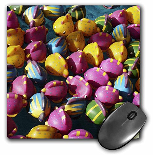 3dRose LLC 8 x 8 x 0.25インチ フィッシュフロートマウスパッド (mp_7944_1)