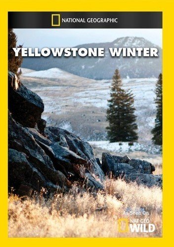 【中古】【未使用・未開封品】Yellowstone Winter [DVD] [Import]