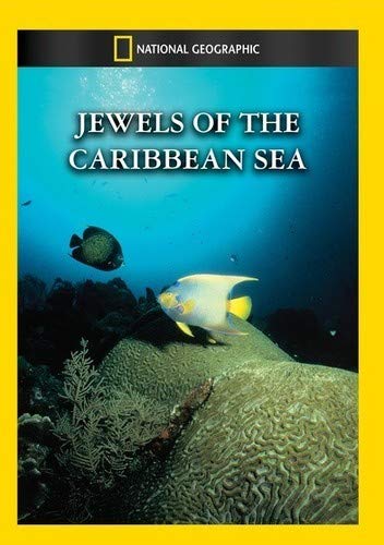 【中古】【未使用・未開封品】Jewels of the Caribbean Sea [DVD] [Import](2.0)