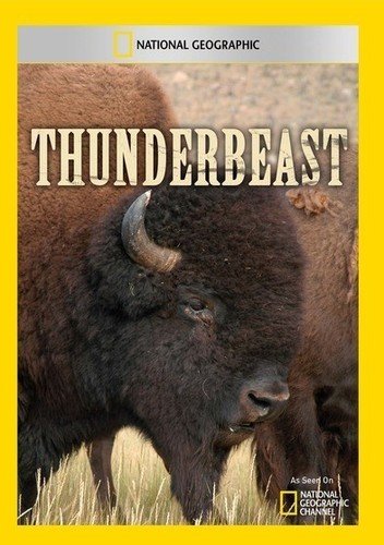 【中古】【未使用・未開封品】Thunderbeast [DVD] [Import]
