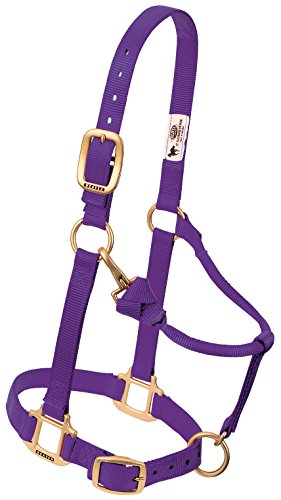 【中古】【未使用・未開封品】(2.5cm Small Horse, Purple) - Weaver Leather Adjustable Horse Halter