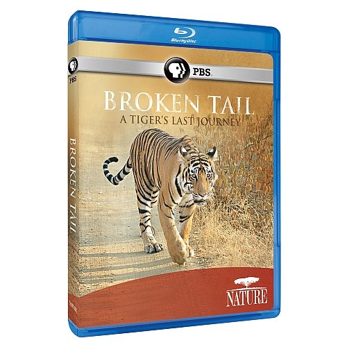 【中古】【未使用・未開封品】Nature: Broken Tail: A Tiger's Last Journey [Blu-ray] [Import]