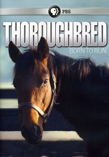 【中古】【未使用・未開封品】Thoroughbred: Born to Run [DVD] [Import]