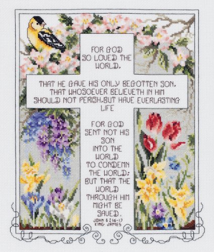 John 3:16-17 Counted Cross Stitch Kit-10-1/4"X12-1/4" 14 Count (並行輸入品)
