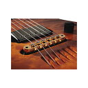 【中古】【未使用・未開封品】LR Baggs T-Bridge Acoustic Tune-O-Matic Bridge Pickup Gold