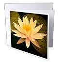 yÁzygpEJizBoehm Photographyt[???CG[Lotus Flower???O[eBOJ[h Set of 12 Greeting Cards