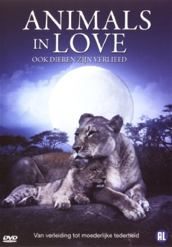 【中古】【未使用・未開封品】Animals in Love 【中古】【未使用・未開封品】Animals in Love