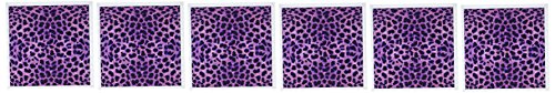 【中古】【未使用・未開封品】Janna Salak Designsプリントとパターン紫???グリーティングカード Set of 6 Greeting Cards