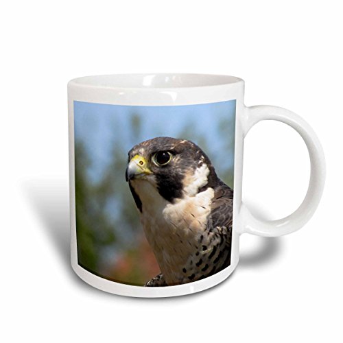 【中古】【未使用・未開封品】3drose Jackie Popp Nature N Wildlife鳥???Peregrine Falcon???マグカップ 15 oz ホワイト mug_21067_2