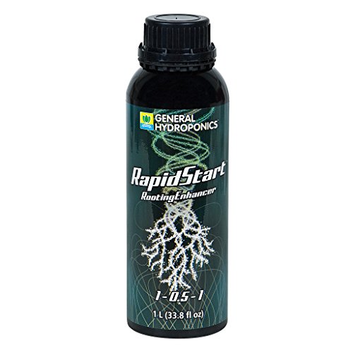 š̤ۡѡ̤ʡۿ̺ GH RapidStart (1L)