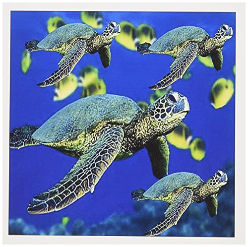 【中古】【未使用・未開封品】Ocean Life???Sea Turtles???グリーティングカード Set of 12 Greeting Cards