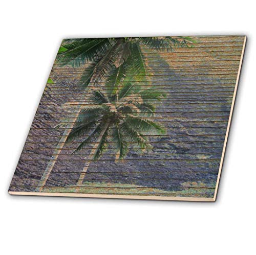 【中古】【未使用・未開封品】CT 28039?Patricia Sandersハワイ???ハワイ木製Tropical Palm Trees???タイル 6-Inch ct_28039_2