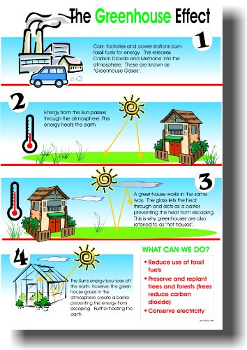 【中古】【未使用・未開封品】The温室効果???教室科学ポスター