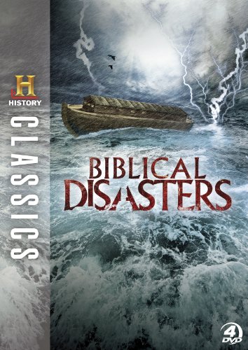 【中古】【未使用・未開封品】History Classics: Biblical Disasters [DVD]