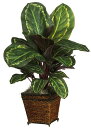 【中古】【未使用・未開封品】Nearly Natural 6590-05 マラタ バスケット付き 装飾シルクプラント、グリーン