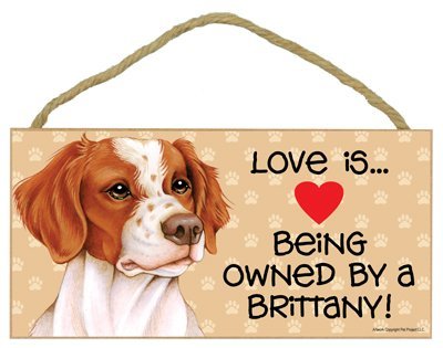 【中古】【未使用・未開封品】」「Love Is Being Owned By A Brittany" Wooden Sign