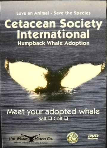 【中古】【未使用・未開封品】Humpback Whale Adoption (CSI) - Colt (includes the Colt DVD, Adoption Certificate and Family Tree)