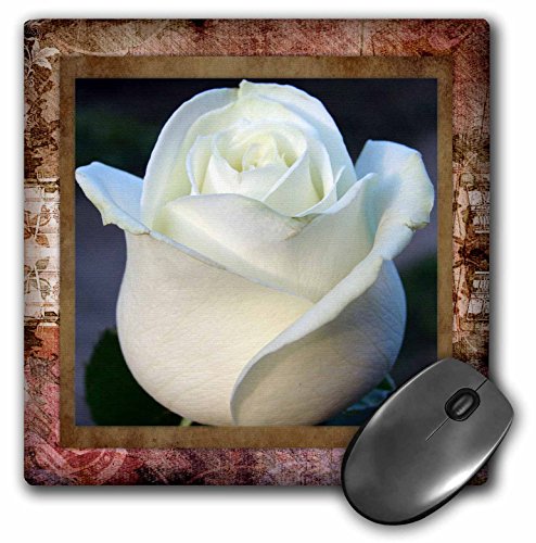 【中古】【未使用・未開封品】3drose LLC 8?x 8?x 0.25インチマウスパッド、アンティークローズフローラル( MP _ 34025?_ 1?)